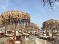 Delice Apartament Mamaia - B&B