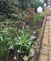 Ferienwohnung in Domnähe - B&B Erfurt