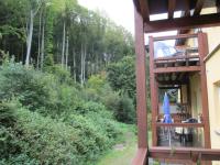 Apartment with Mountain View 1 (Trippstein 1)