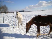 Appartamento - 1° Piano 