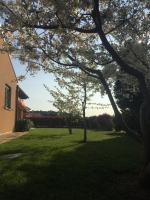 Apartment Leonarda - B&B