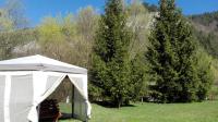 Pensiunea Alpin - B&B Bran