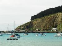 Oamaru Green Cottage - B&B Oamaru