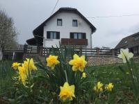 Guest House Aurora - B&B Poljanak