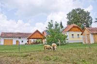 Harmatcsepp-Vendégház - B&B Kercaszomor