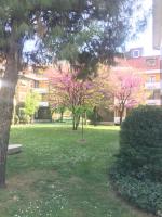 Il Contrabbasso - B&B