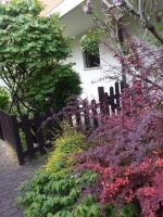 Ground floor,Top level - B&B Padova