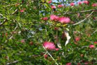 Hadas - Love - B&B Avdon