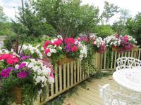 Bedham Hall B&B - B&B Niagara Falls