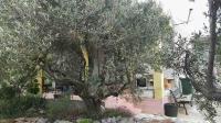Holiday Home Zeljana - B&B