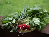 Wieża marzeń - B&B Dąbrowa Białostocka