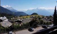 Apartment Leysin - Swiss Alps - Fully Renovated ! - B&B Leysin