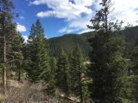 Kokopelli Inn - Chambres d’hôtes Estes Park