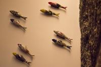 Charme e Alegria - B&B Viseu