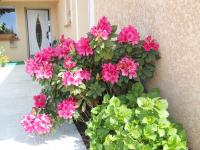 Le Clos des Malézolles - Bed and Breakfast Saint-Germain-Laval