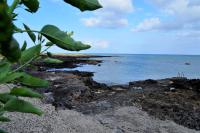 Appartement - Vue sur Mer