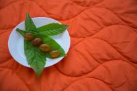 Appartamento - Piano Terra