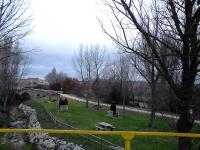 Casa Rural Flor - B&B