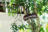 Turtle Lamp - B&B Unawatuna