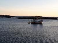 Sjøhaug Rorbu - Ferienwohnung Moskenes