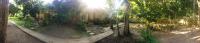 Kuta Lodge Homestay - B&B