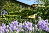 Locanda Casanuova - B&B Figline Valdarno