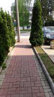 Apartmani Tamara - B&B