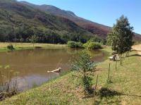 Frog Mountain Getaway - B&B Swellendam