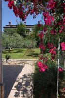 Apartments Darinka - Chambres d’hôtes Poreč