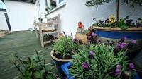 Marvene - B&B