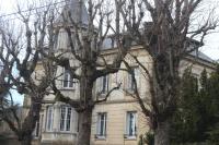 Les Marronniers - B&B Saint-Didier-en-Velay