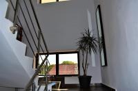 Pensiunea Alexandra - Bed and Breakfast