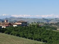 Cascina Baresane - Bed and Breakfast Alba