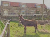 Meadowbeck Holiday Cottages - Chambres d’hôtes