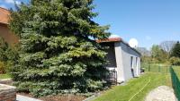 Apartment mit Gartenblick