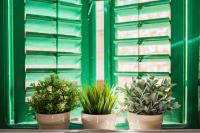 Apartments Laurus - B&B Šibenik