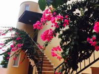 Anastasia Apartments - Bed and Breakfast Kargıcak