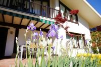 Aloka rooms Sopela - B&B Sopela