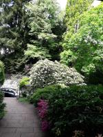 At the Lichtentaler Allee Apartment - Bed and Breakfast Baden-Baden