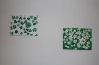 La Casa della Coccinella - B&B Cavizzana