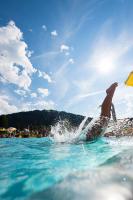 AmadéLodge - Ferienwohnung Wagrain