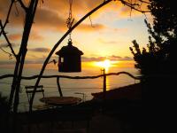 Magro´s House - Bed and Breakfast Arco da Calheta