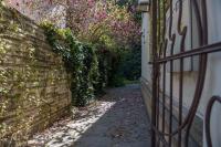 Casa Boer - B&B Satu Mare