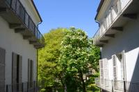 Palazzo Del Carretto-Art Apartments and Guesthouse - B&B