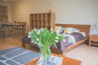 B&B Olsztyn - Apartamenty przy Zamku - Bed and Breakfast Olsztyn