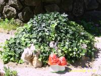 Apartments Cvelic Milovcic - Chambres d’hôtes Malinska