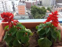 Al Chiaro Di Luna - Bed and Breakfast Tarente