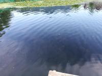 House Boat Hardy Palace - B&B Srinagar