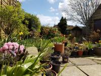 Rowan Tree House B&B - Ferienwohnung