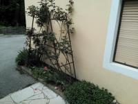 Apartment Kovacevic - B&B Fužine